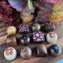 Large Fall Collection