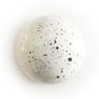 Creme Brulé chocolate bonbon The Chocolate Palette Salt Lake City Utah
White dome with black specs best chocolate
